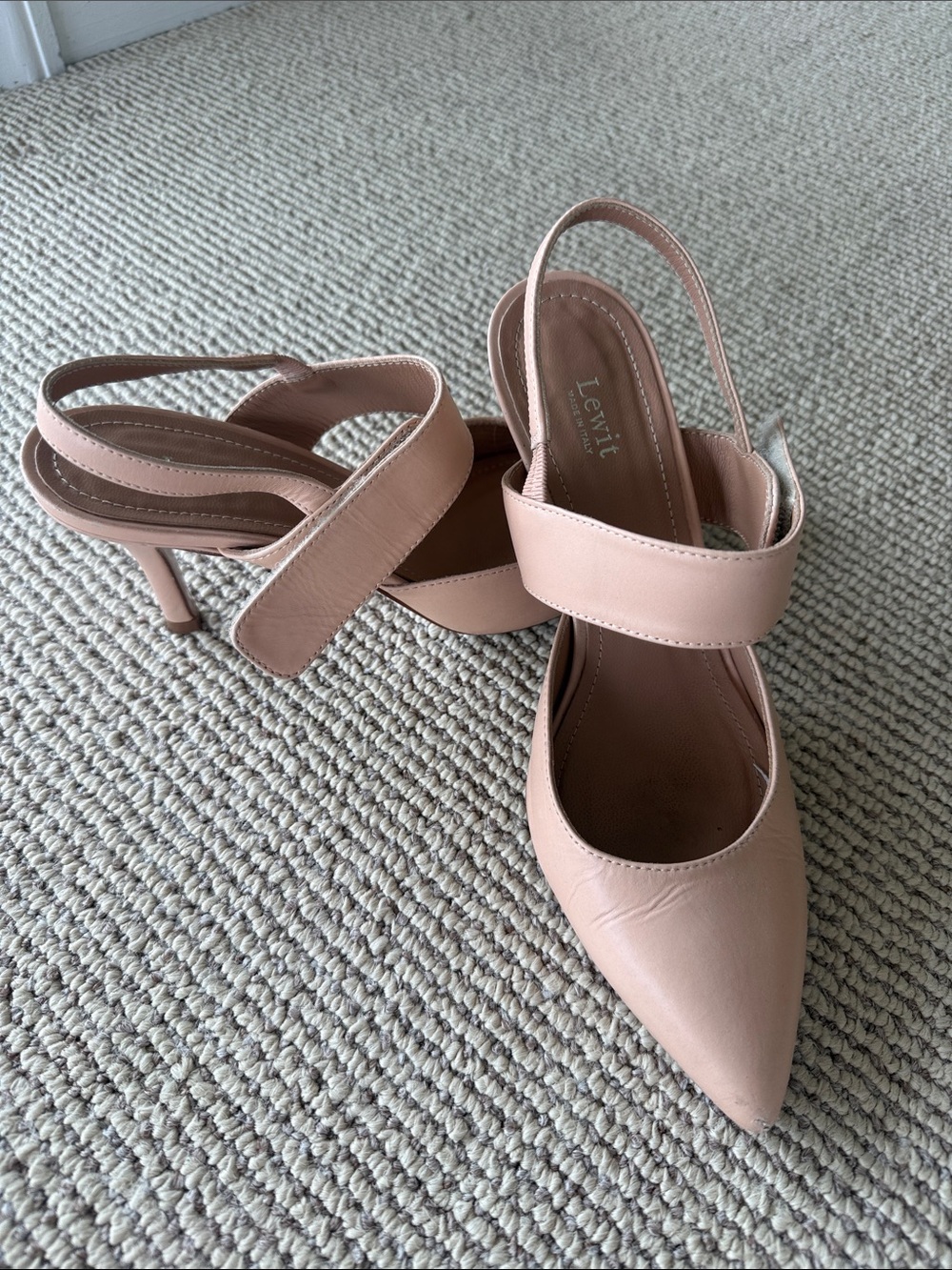 Lewit Blush Pointed-Toe Slingback Heels